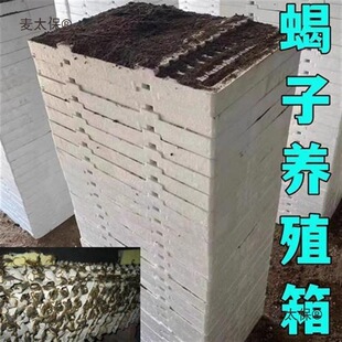 ģ����ĭϐ�ӵ��Bֳ����ϐ�Ӻй����˹��Bֳ�䵰��ϐ�C�Bϐ��̫��