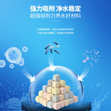鱼魔王 [8DM益菌魔方5升方形益菌屋细菌屋鱼缸过滤材料净水培菌滤材]
