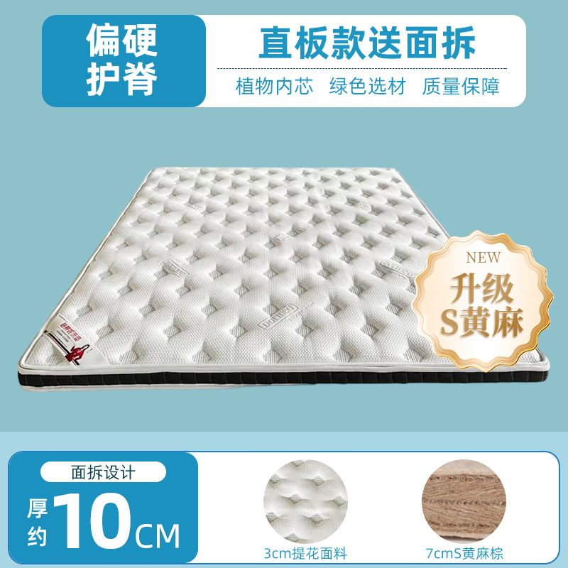 [자카드] 업그레이드된 S 황마 10cm 플러스 하드 척추 보호대