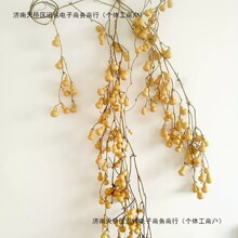 ��Ȼ�B��С���J�����ְѼ�С���J�B֦�����^�Ҿ��b��Lˮ���ľ