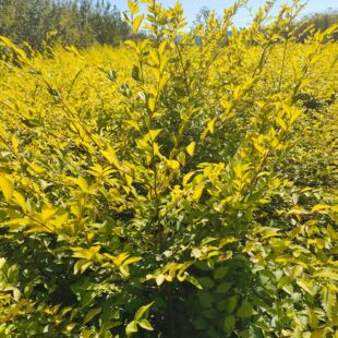 �ؽӽ��~�� ���~�ܾG�h������ �|���ͺ����~��ľ ���~�ܘ���