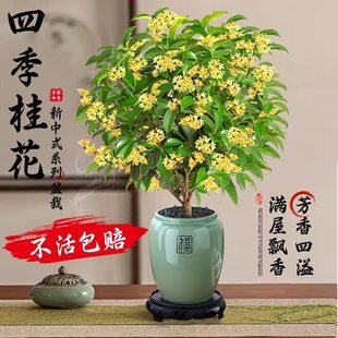 �𻨘����ļ��������҃��̨���B�ͺ�ͥԺ�Ϙ������ͻ����L����