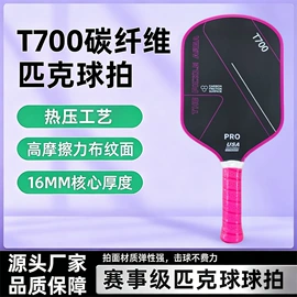 其他运动休闲;匹克球;匹克球拍