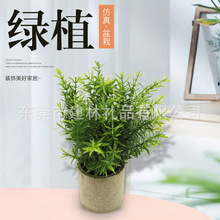 �S��ֱ�� ����Gֲ�������ϼٻ� �k���b[��С���»���ɶ���