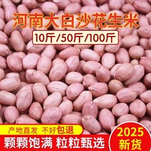 批发25年新花生干花生粉皮原味农家自然晒干生花生油炸煮粥低价