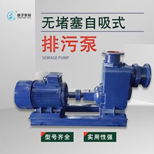 不锈钢耐腐蚀自吸泵 自吸式离心泵 耐酸碱泵 单级自吸式化工泵