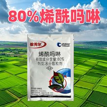 z㠖80%ϩ ˪ùЃίoPЧ