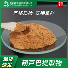 葫芦巴提取物 葫芦巴皂甙 水溶性葫芦巴粉多规格现货供应支持拿样