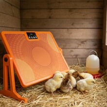 200W�h�t�⹝�ܷ��u���ɶ��r�b�،���ȡů��