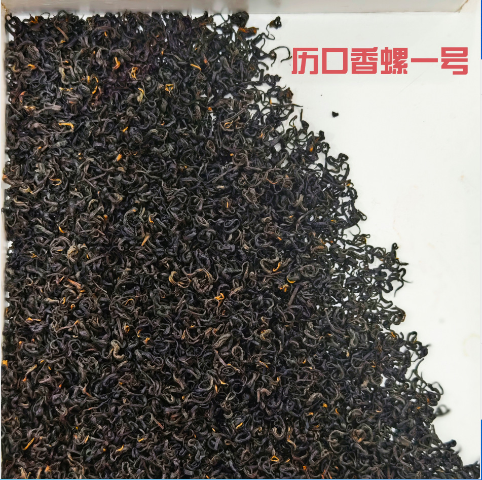 리 립스틱 달팽이 1호 500g (핵심생산지, 색이 진하고 향이 강함)