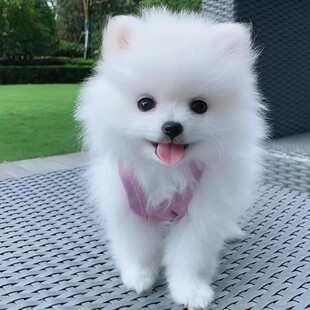 ���N����������Ȯ���w�L����С�Ͳ���Ȯ�r����Ȯ�豭Ȯ���ﹷ��