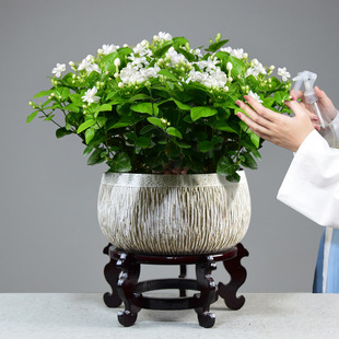 ӭԻֲ҃Ȼ͏dkGֲ_辰r