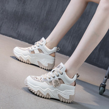 2025�ļ�ŮЬ�¿����lƽ�׺�׃������¸����e�ϵ�ЬŮ�WЬ���l