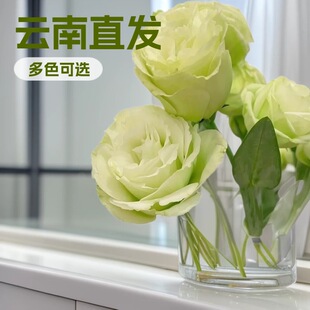 ��۹���đ�r�����ֱ�l����������˹�ĸ�H���������l��һ�����l