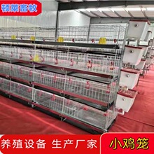 跨境外贸养殖鸡笼子加粗育雏笼四层小鸡笼家用养殖场育雏阶梯鸡笼
