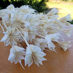 ��ɫ�˽ǻ��ɻ�ɭϵ�͹Ų廨�����ֹ�diy������Ȼ��@�b���