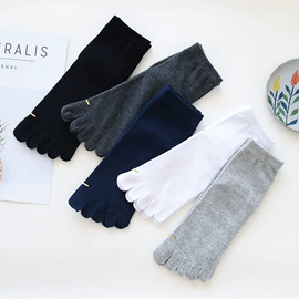 运动休闲棉袜;船袜、隐形袜;袜套