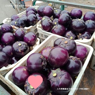 �A�������rɽ�|�߲��r����Ƥ���Ӯ��������Ӯa�جFժ�F�l������]