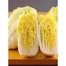 uSײ˷NļNֲ̨ͥԺ߮aSĿ߲˷Nr