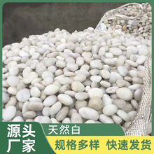 F؛ɫZʯ ȻɫʯˮĥʯCZʯ쾰·ʯ