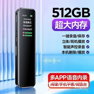 Student Class Recorder Recorder Ultra-Long Standby Professional Wholesale Recorder Zhiku Portable Small High-Definition