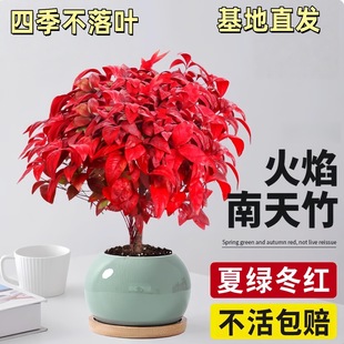 �������������Լt�~С�辰�ͺ�ֲ���҃�������B�^�~�����ļ��Gֲ