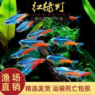 �t�G���~С�͟����~��ȸ�~�Ꭷ�^�p�~��ˮ��ɏ���~���w���R�~Ⱥ��