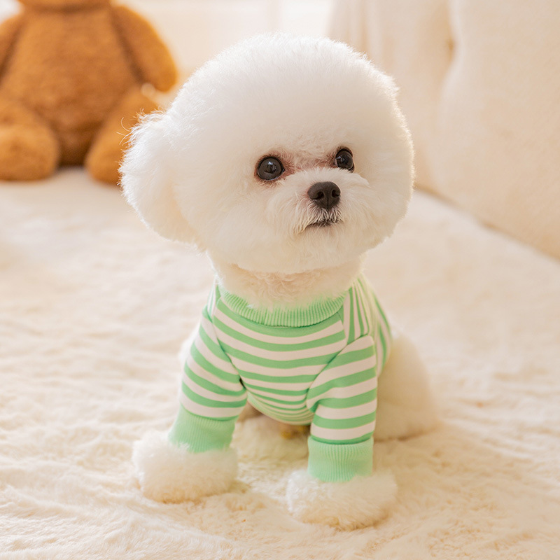 Otoño e Invierno Perro Japonés y Coreano de dibujos animados lindo suéter de dos piernas gato tracción cálido invierno ropa para perros mascotas