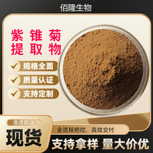 紫锥菊提取物10:1水溶比例浓缩萃取粉食品原料现货紫锥菊提取