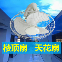 �����16�����360�u�^����컨��L�ȌWУ������픹�����̫���