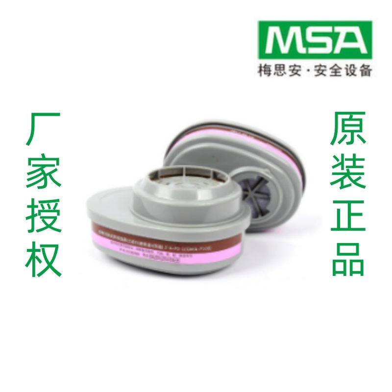 梅思安MSA 10120748 GMA-P100滤片