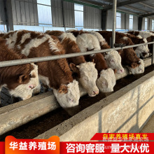 Сţ Tţ ţ Sţ sNţ