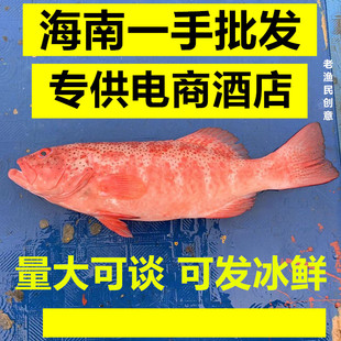 ���ϱ��r�|�ǰ��ʯ���~���r�r����~������t�߾Ƶꌣ��ʳ����