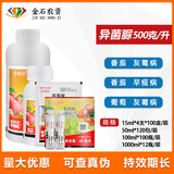 Fumei Shihuochi -Pyramid Grape Grey Grey Mildo Middem Becory