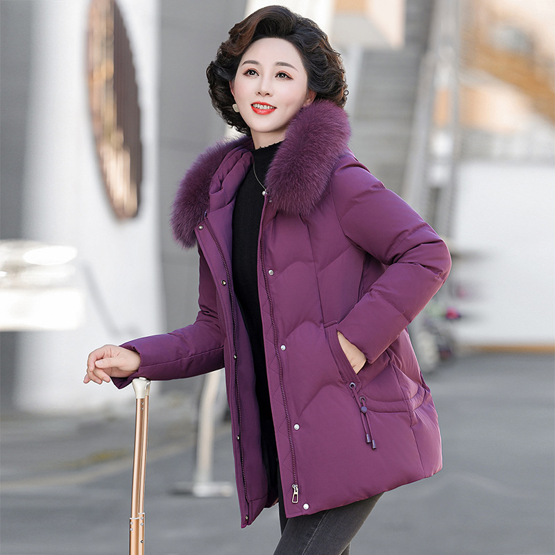 라즈베리 퍼플