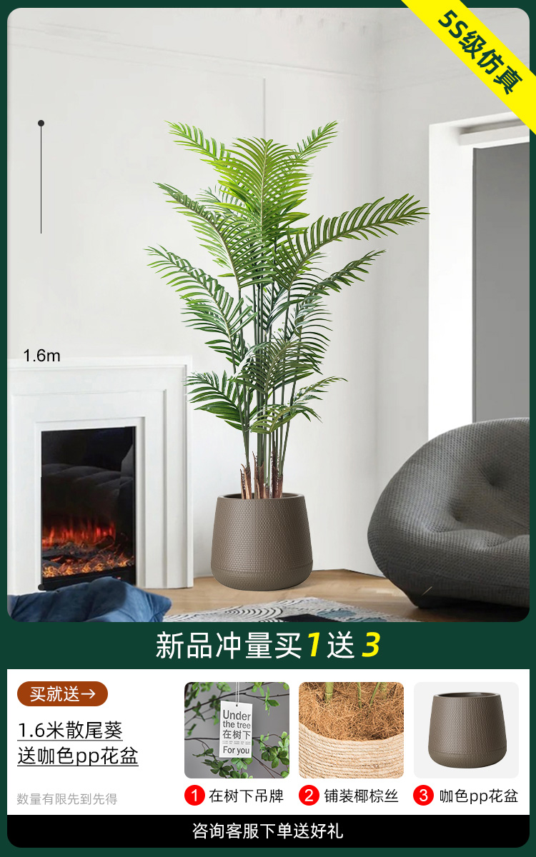 1.6 m 산웨이콰이 [카레컬러 라운드 분지]