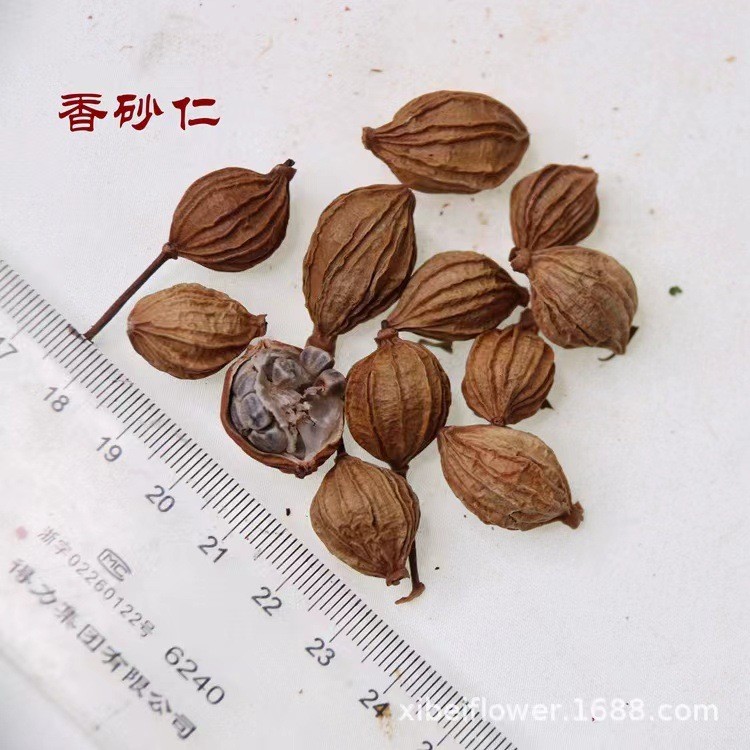 향기로운 Amomum villosum 10g