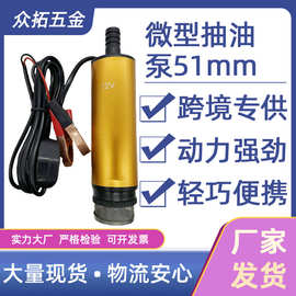 微型便携式抽油泵12v24v38型柴油泵抽水泵