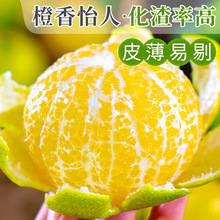 老树大果正宗广西皇帝柑新鲜水果现摘橘子当季时令整箱桔子代发