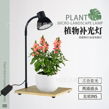 ֲ���a�����������COB���L��ȫ���V����Gֲ������������~�ן�