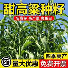 ������N�������������ݷN�����������Bֳ�ļ�����������U�N��