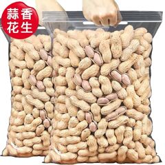 間食盟主にんにく香咸乾落花生500gのお得な袋入り吊り炉落花生の殻付き間食炒め物の年間卸売り