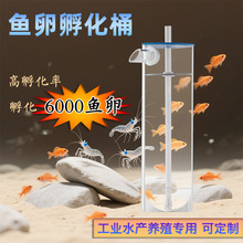 �������~�ѷ������~���r�����O���T�~���S��ˮ�a�Bֳ�~�ѷ���ƿ