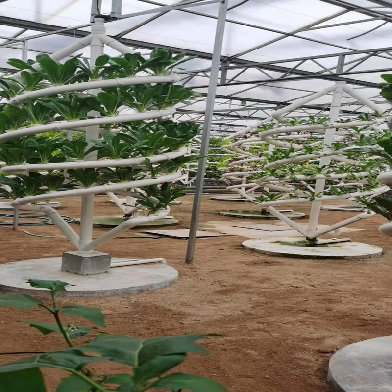 微信图片_20210513210829_副本