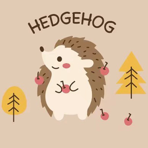 대형 [고슴도치] 면 2 겹