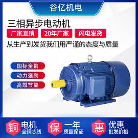 厂家批发2极4极6极三相电机YE3-100L2-4-3KW三相异步电动机配水泵