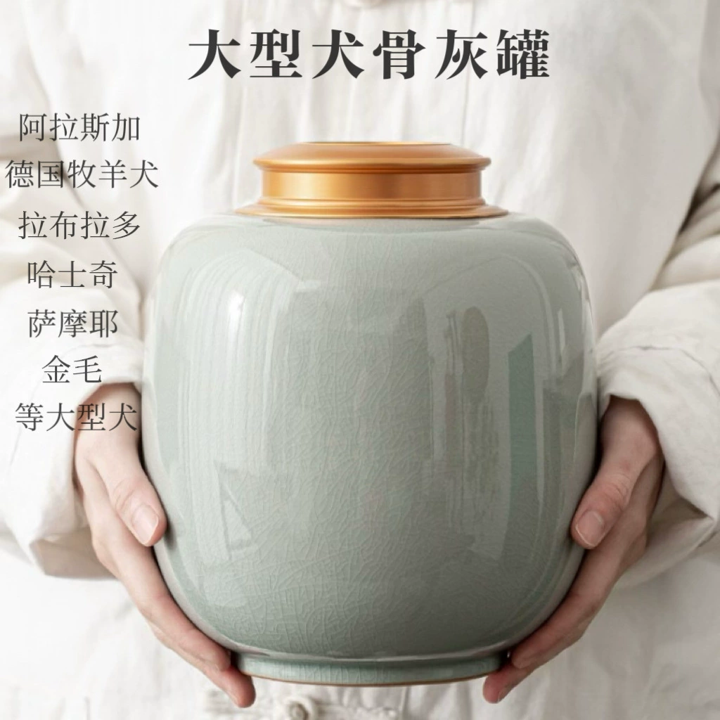 Золотистый хаски самоедский большой пепел для домашних животных