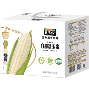 ����47�Ȱ���Ŵ/��������/��GIˮ��/�SŴ/����Ŵ����230��*10�Y��