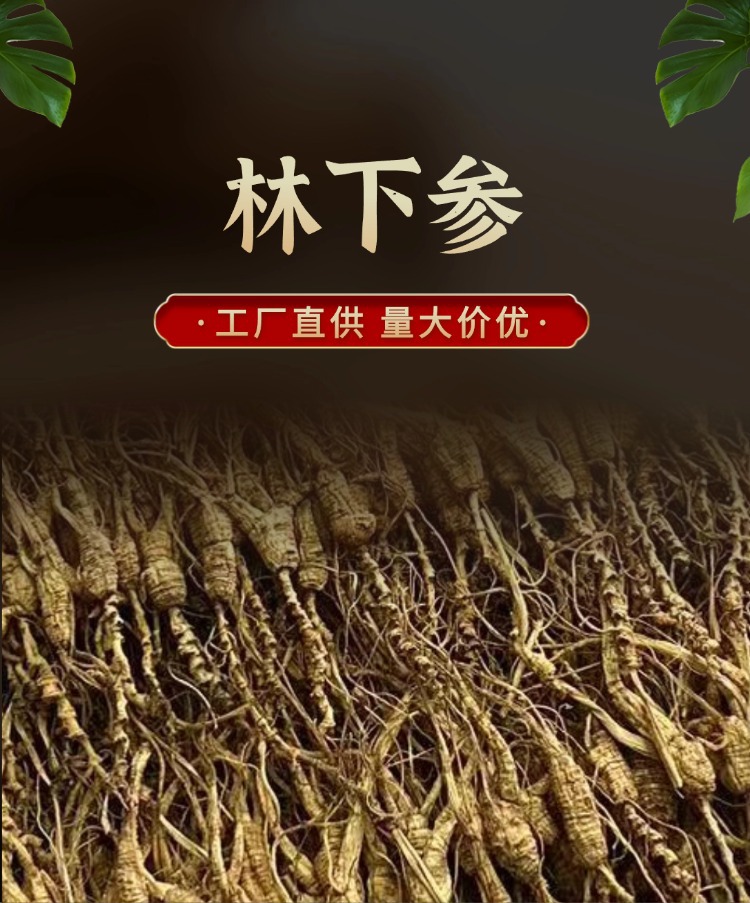 Dried Forest Ginseng Seedling Root Slices Sun Dried Jilin Grown Culinary Herb 500g overview