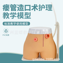 ���ģ�� �߼���������g�o��ģ�� �Y�c���c�쯛�̌Wģ�� ��ڛ_